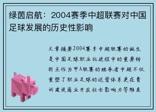 绿茵启航：2004赛季中超联赛对中国足球发展的历史性影响